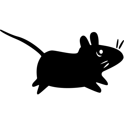 Xue